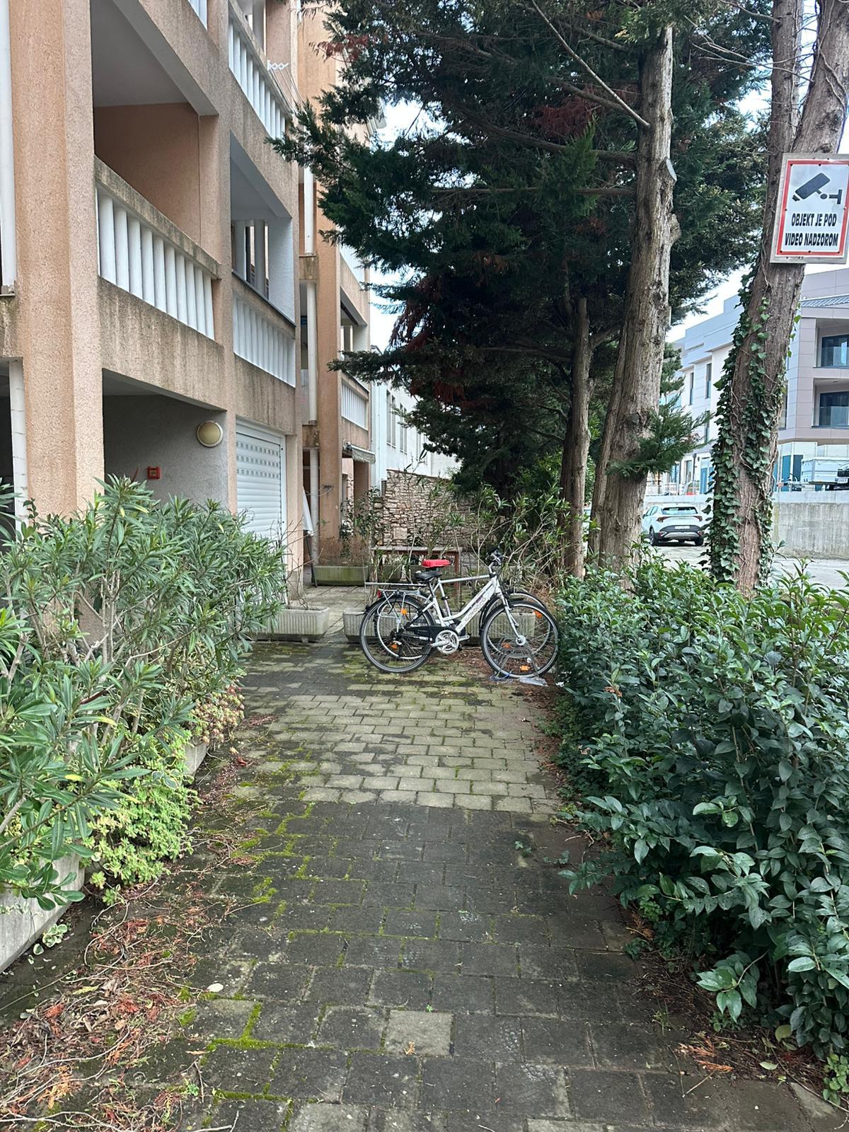 image 71